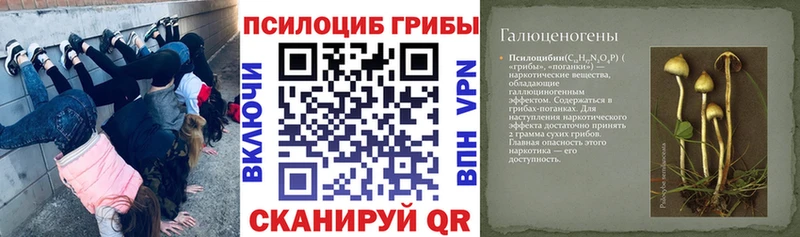 что такое наркотик  Наро-Фоминск  Галлюциногенные грибы мицелий 